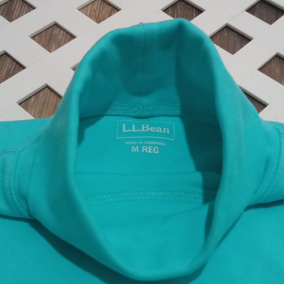 L.L. Bean Blue Turquoise Interlock Turtleneck - Picture 3 of 3